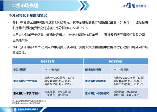 中資美元債市場信息月報（2023年5月） 一級市場發行繼續低迷，二級市場表現保持分化